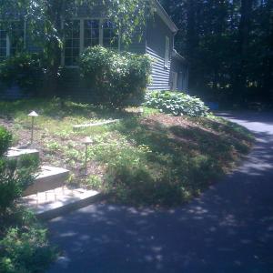Before Bark Mulch Installation