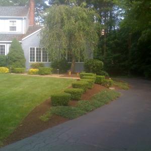 After Bark Mulch 