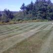 Weekly Mowing