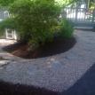 Bark Mulch/Stone 