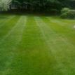 Weekly Mowing