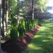 18'' Berm and Arborvitaes Planting 